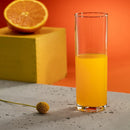 Copos Long Drink 300ml: Estilo e Funcionalidade