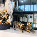 Decoração com Arte e Presença Selvagem