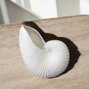 Vaso Cerâmica Concha do Mar – Decoração Costeira